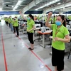 Workers take a break to exercise during a shift at a textile company in the northern province of Thai Binh. (Photo: VNA) 