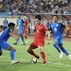 Vietnam ranks 116th in FIFA ranking (Photo: thethao247.vn)