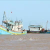 Ben Tre strives to meet fishing vessel registration requirements (Photo: VNA)