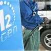 The Asia Zero Emission Community will promote the switch to hydrogen fuel to cut carbon emissions. (Photo: asia.nikkei.com) 