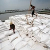 Thai rice prices hit one-year low (Photo: bangkokpost.com)