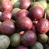 Passion fruit becomes the fifth Vietnamese fruit to be licensed for export to Australia (Photo: VietnamPlus) 