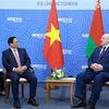 Prime Minister Pham Minh Chinh (left) meets Belarus President Aleksander Lukashenko in Kazan city of Russia on October 24. (Photo: VNA)