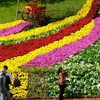 The Da Lat Flower Festival to bloom in December (Photo: VNA)