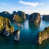 Ha Long Bay – A UNESCO World Heritage site and popular destination of tourists. (Photo: VNA) 