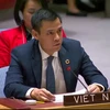 Ambassador Dang Hoang Giang, Permanent Representative of Vietnam to the UN (Photo: VNA)