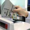 Reference exchange rate down on November 20 (Photo: VNA)