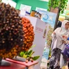 The Indonesian government reveals investment strategy for 8% growth. (Photo: antaranews.com)