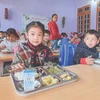 Vietnam promotes law on school nutrition for children’s physical development (Photo: VietnamPlus)