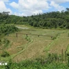 In Kon Plong district in the Central Highlands province of Kon Tum (Photo: VNA)