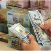 The daily reference exchange rate for the US dollar is set at 24,259 VND/USD on December 12. (Photo: VNA)