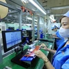 Les entreprises investissent dans la technologie pour mieux répondre aux exigences des importateurs. Photo : VietnamPlus