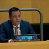 L'ambassadeur Dang Hoang Giang, représentant permanent du Vietnam auprès de l'ONU. Photo : VNA