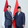 Le président Luong Cuong (gauche) et son homologue indonésien, Prabowo Subianto. Photo: VNA