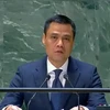 El embajador Dang Hoang Giang, jefe de la misión peramente de Vietnam en la ONU (Fuente: VNA)