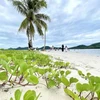 Koh Yao Yai, Phang Nga (Foto: https://www.bangkokpost.com/) 