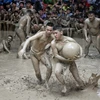  Impresionante Festival de lucha acuática de pelota en Bac Giang
