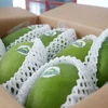 Los primeros mangos verdes de Vietnam exportados a Australia y Estados Unidos (Fuente: VNA)