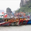 Los barcos pesqueros en Quang Ninh (Fuente: VNA)