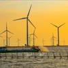 La planta de energía eólica de Bac Lieu, en la provincia de Bac Lieu (Fuente: VNA) 