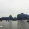 La bahía de Ha Long en Quang Ninh (Fuente: VNA)