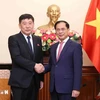 El canciller vietnamita Bui Thanh Son (derecha) recibe al viceministro de Asuntos Exteriores de la República Popular Democrática de Corea (RPDC), Pak Sang Gil. (Fuente: VNA)