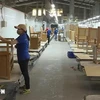 Producción de madera para la exportación (Fuente: VNA)