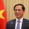 El vicepremier y canciller de Vietnam, Bui Thanh Son (Fuente: VNA)