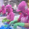 Vietnam regrets US denial of market economy status