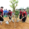 The “planting a billion trees for 2021-2025” project receives enthusiastic response from local residents. (Photo: VNA)