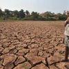 Extreme drought in Laos caused by climate change (Photo: theguardian.com)
