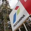 Indonesian energy giant Pertamina is developing its low-carbon business. (Photo: Reuters)