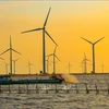SOEs are proposed to develop offshore wind power projects. (Photo: VNA)