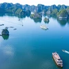 Cat Ba has been included in the bucket list of many nature-lovers who wish to explore its variety of natural ecosystems. (Photo: VNA)