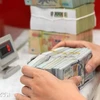 The daily reference exchange rate for the US dollar is set at 24,240 VND/USD on December 2. (Photo: VNA)