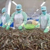 H1 agro-forestry-fishery trade surplus grows over 62%