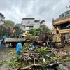 Hanoi: Fallen trees on the streets due to impact of super typhoon Yagi