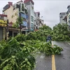 Typhoon consequences seen in every coner of Hanoi