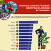 Vietnam among fastest-growing emerging economies 