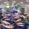 Vietnam becomes second largest supplier of white fish to US