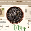 Vietnam remains the largest pepper supplier to the EU 