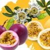 Vietnamese passion fruits enter Australian market