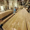 Wood exports likely to top 16 billion USD this year