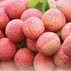 Bac Giang successfully exports lychee to demanding markets