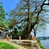 500-year-old village of Hue's ancient capital