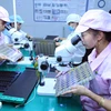 Vietnam-China trade cooperation sees practical, effective development