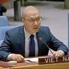 越南常驻联合国代表团临时代办阮黄原公使。图自越通社