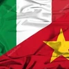 意大利和越南的国旗。图自互联网