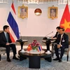 万·穆罕默德·努尔·玛他在泰国国会大厦会见越南驻泰国大使范越雄。图自越通社