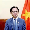 越南外交部副部长、东盟高官会（SOM ASEAN）越南代表团团长杜雄越。图自越通社